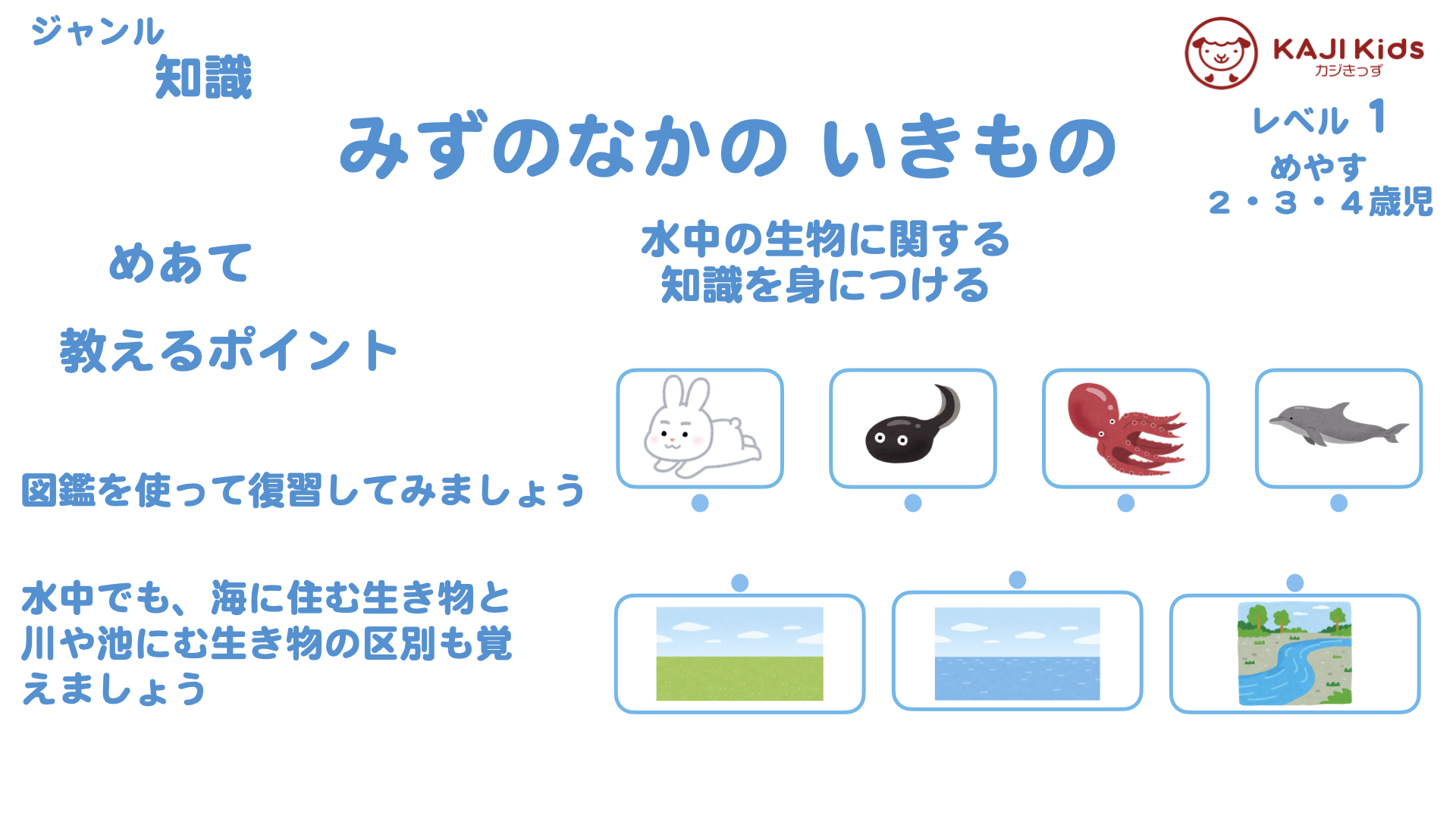 【小学校受験1-25】みずのなかの いきもの (水中の生物) 知識 レベル1【幼児教育演習問題】.001