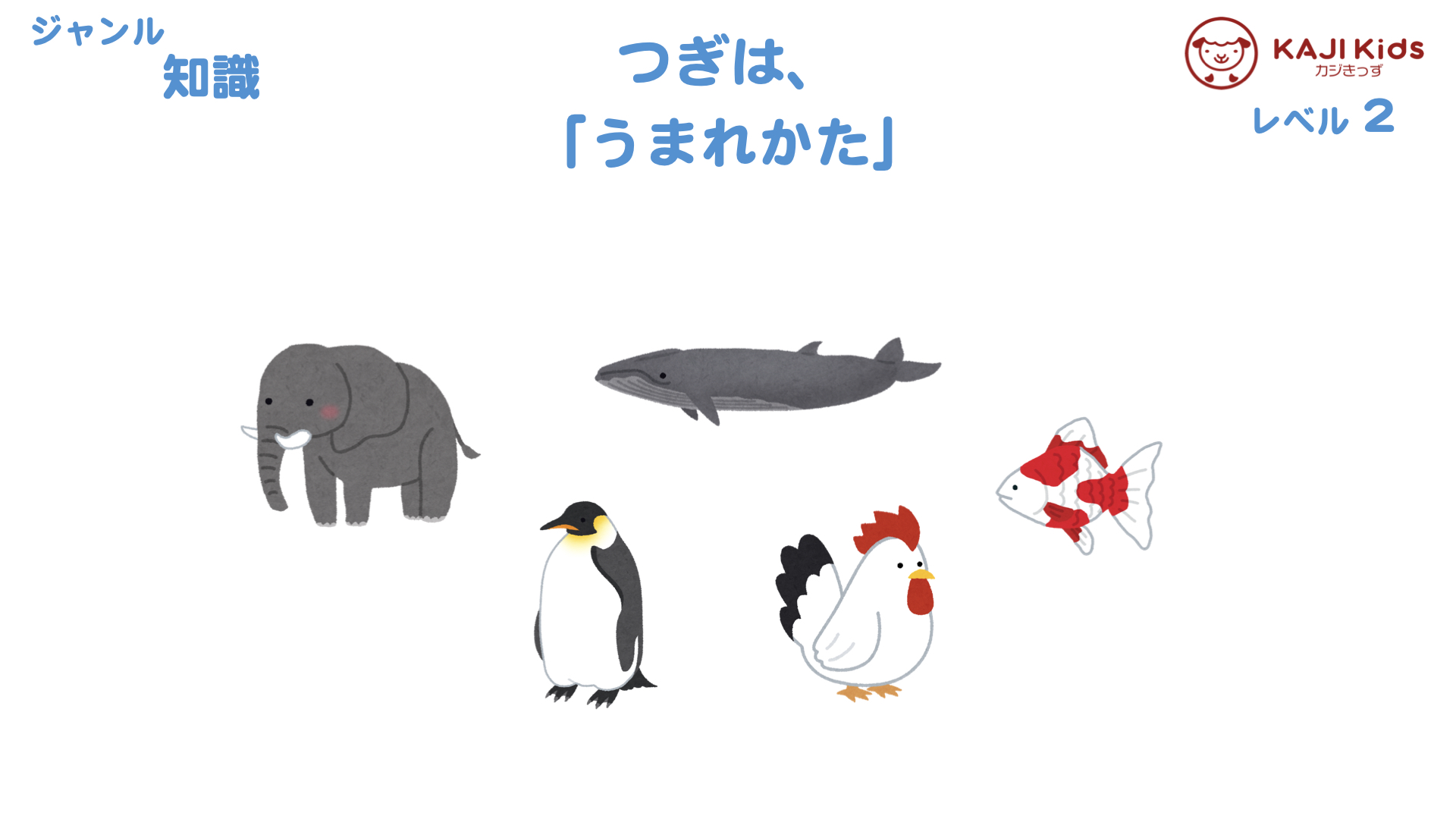 【小学校受験2-32】海の生き物 知識 レベル2【幼児教育演習問題】.004